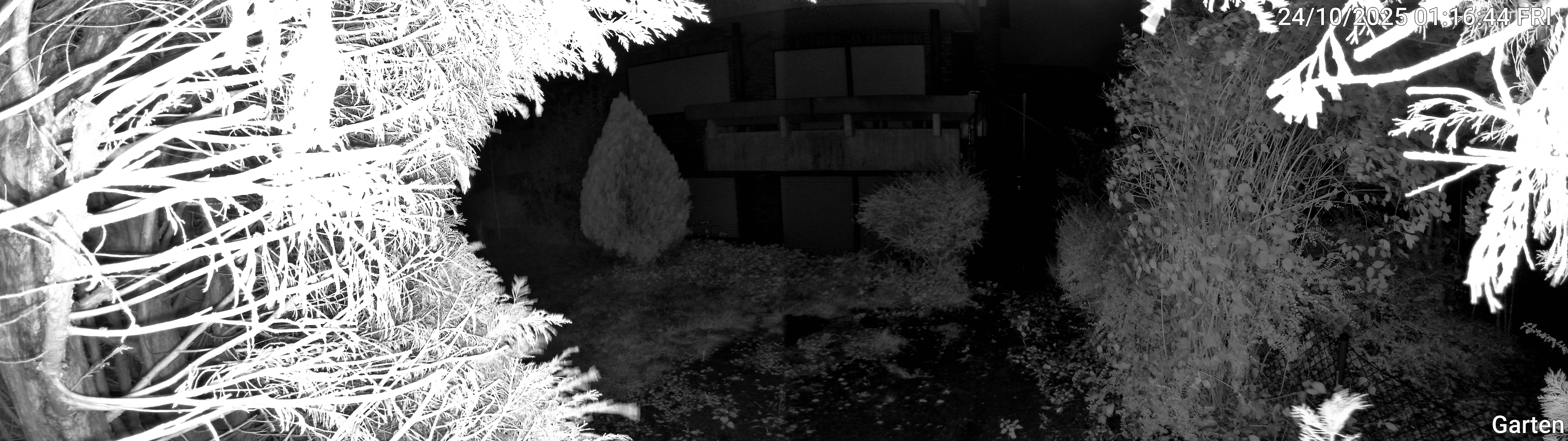Garten_00_20251024011644.jpg