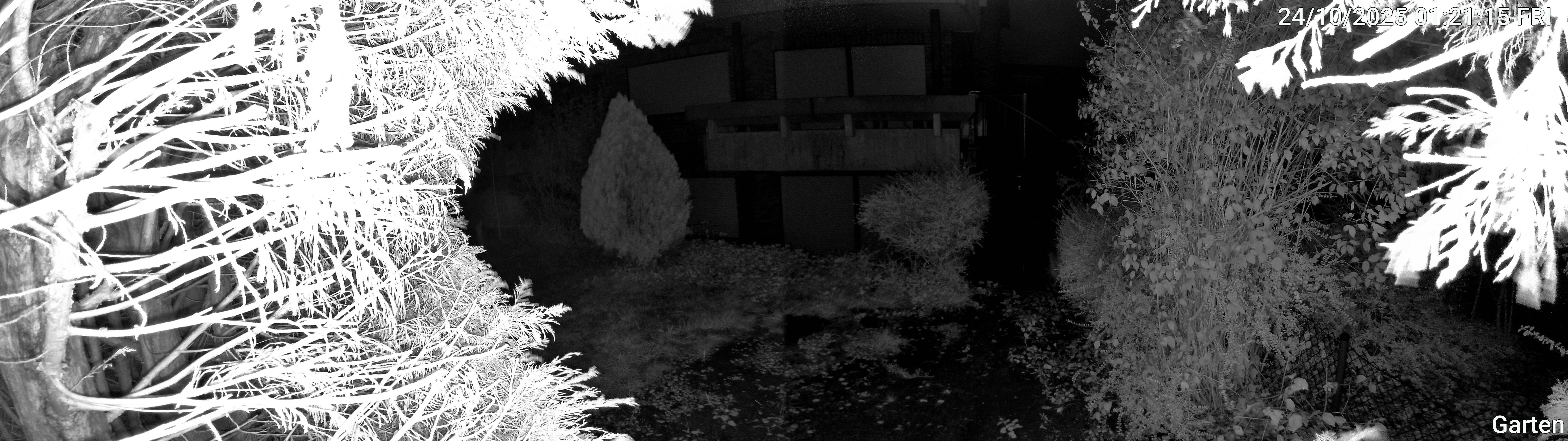 Garten_00_20251024012115.jpg