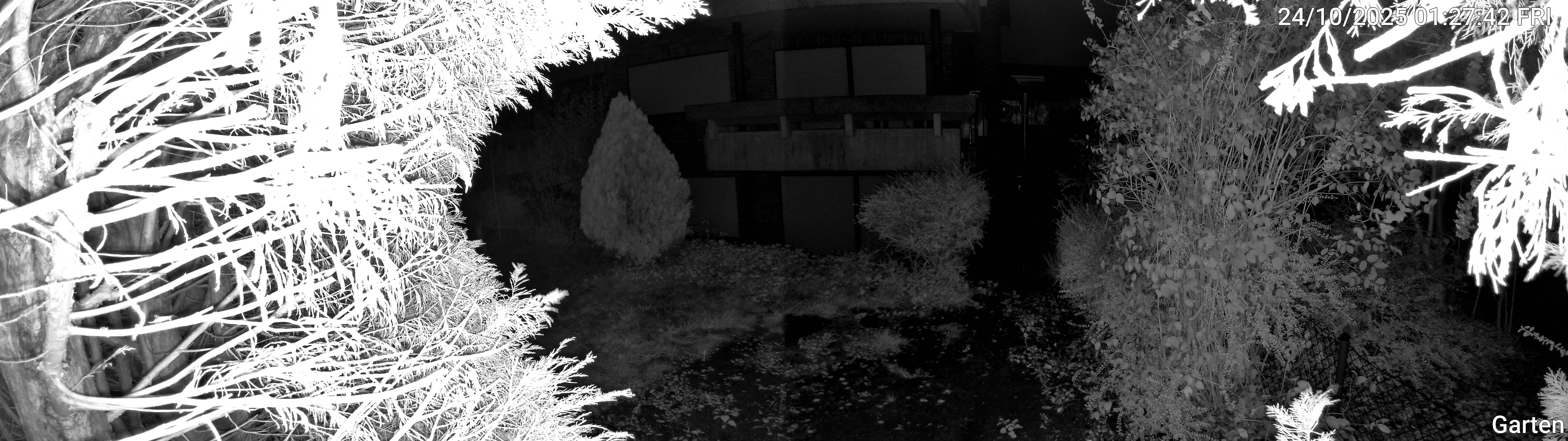 Garten_00_20251024012742.jpg