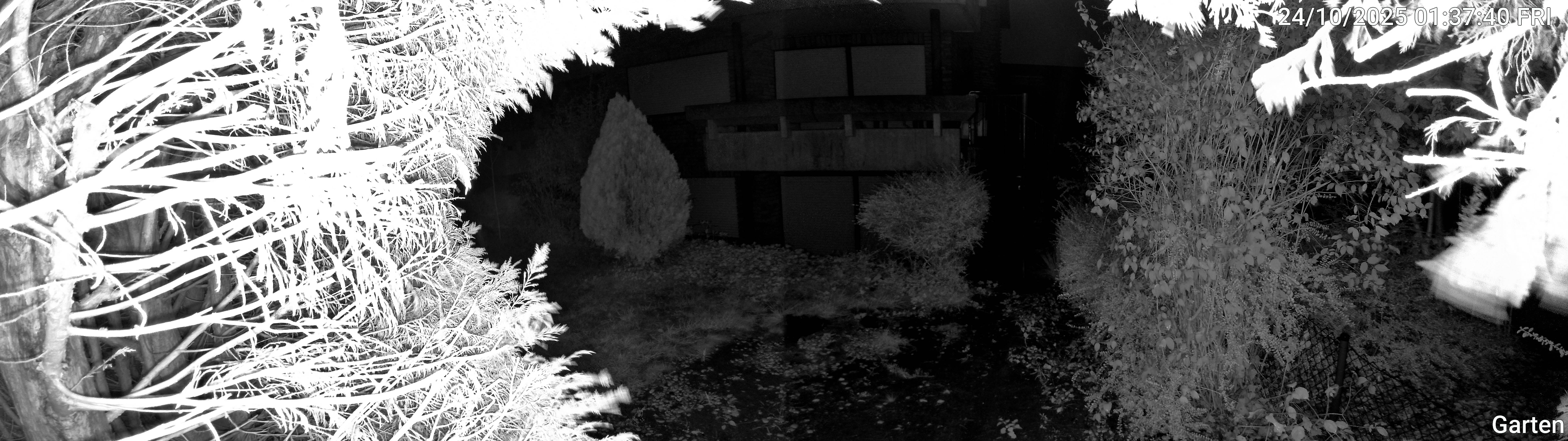 Garten_00_20251024013740.jpg