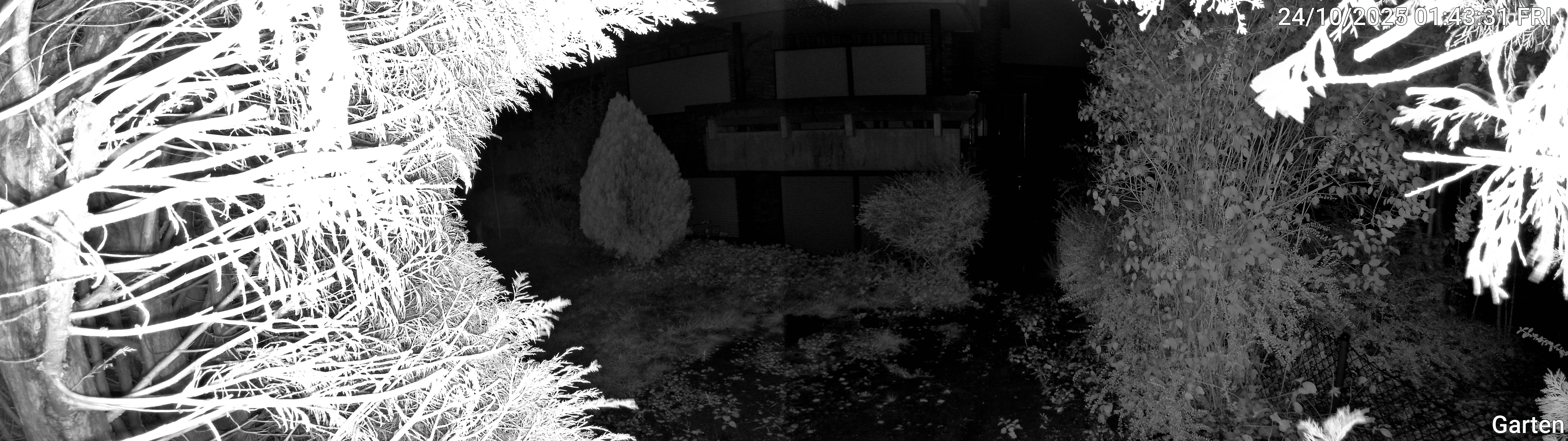 Garten_00_20251024014332.jpg