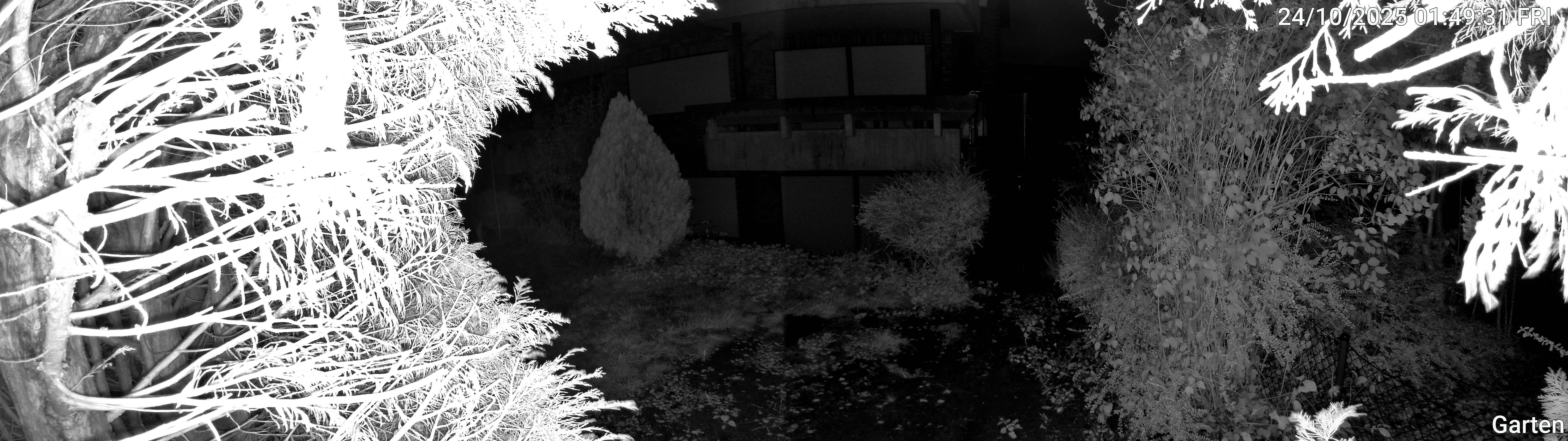 Garten_00_20251024014932.jpg