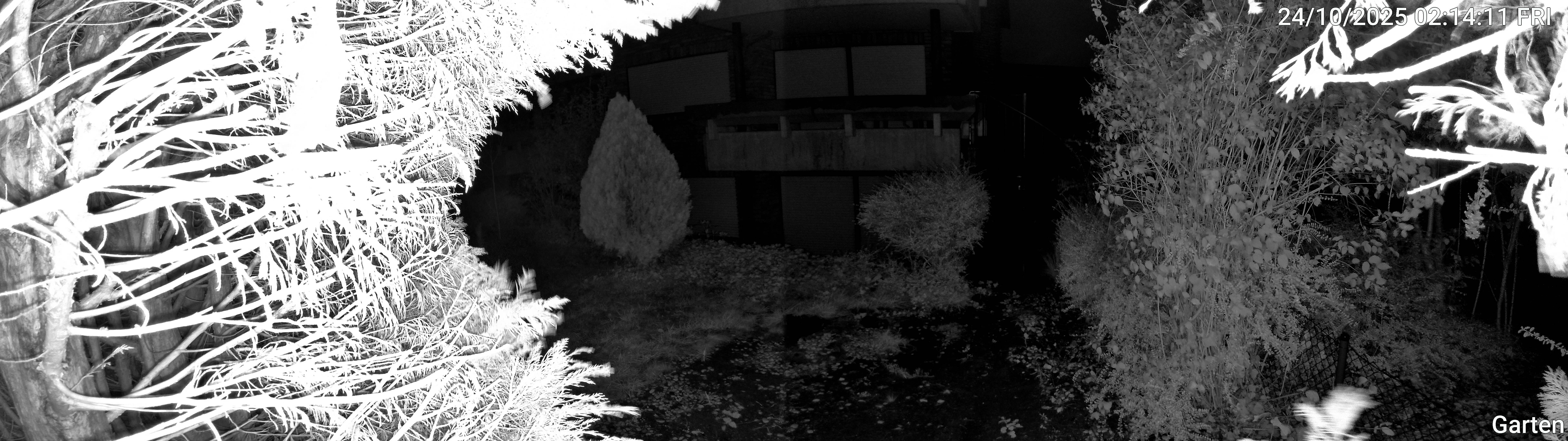 Garten_00_20251024021411.jpg