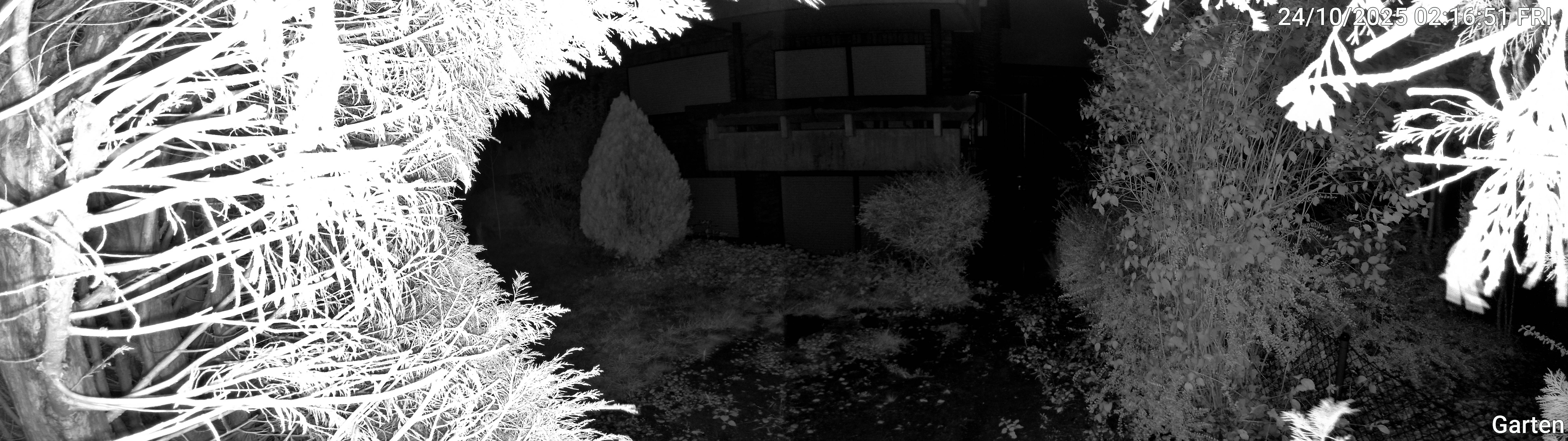 Garten_00_20251024021651.jpg