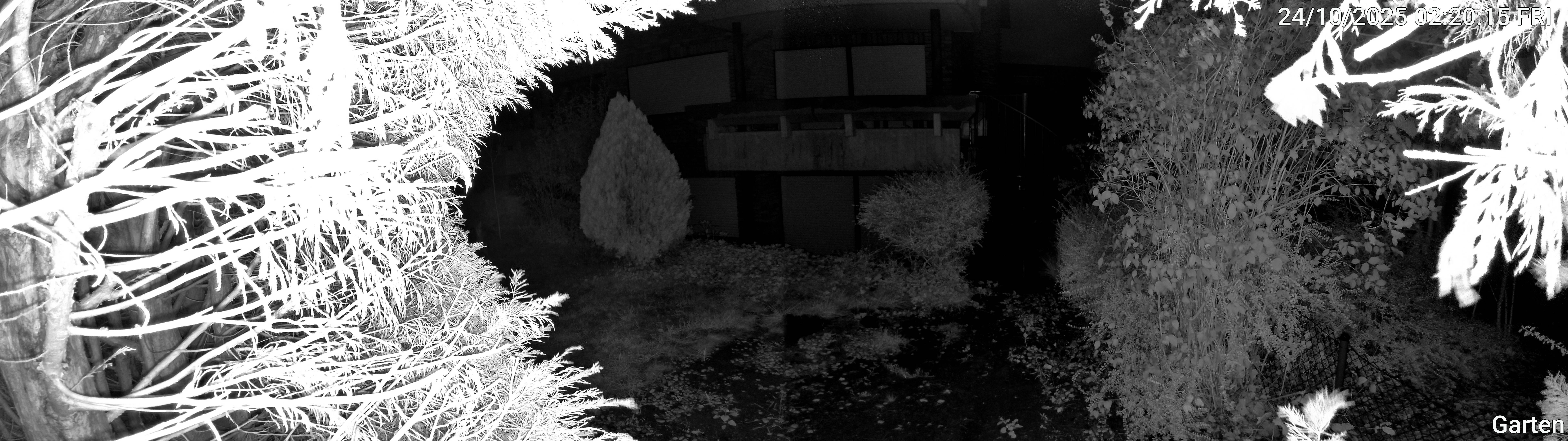 Garten_00_20251024022016.jpg