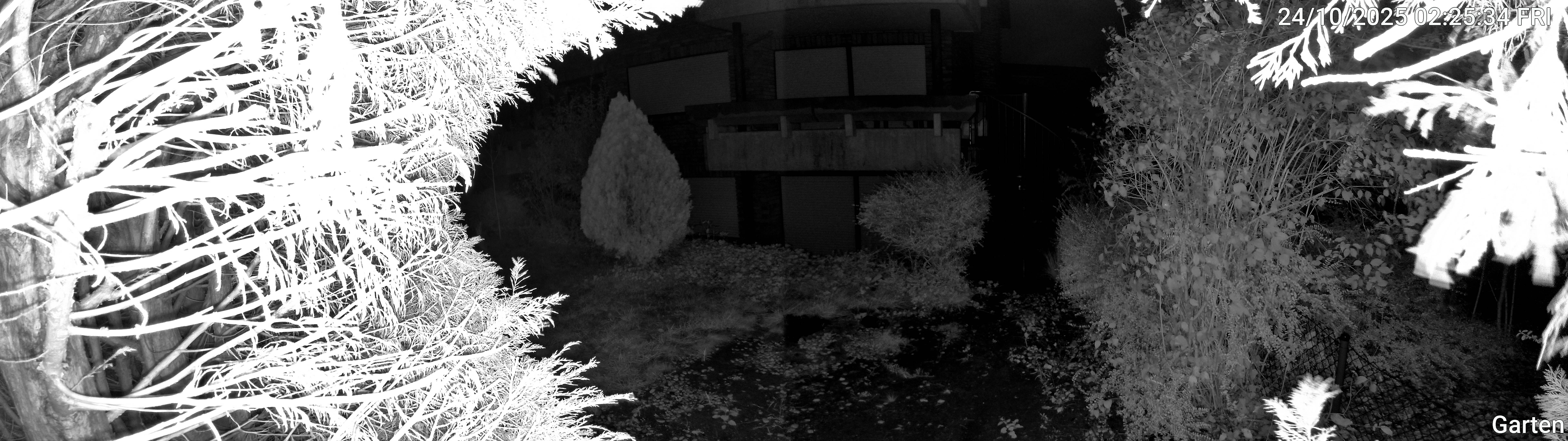 Garten_00_20251024022534.jpg