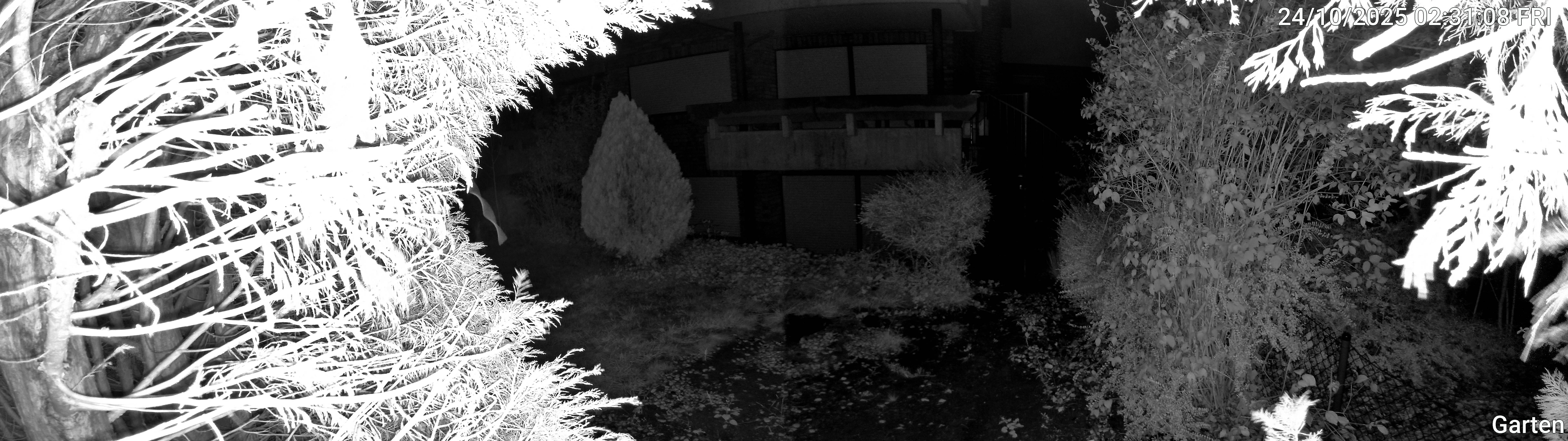 Garten_00_20251024023108.jpg