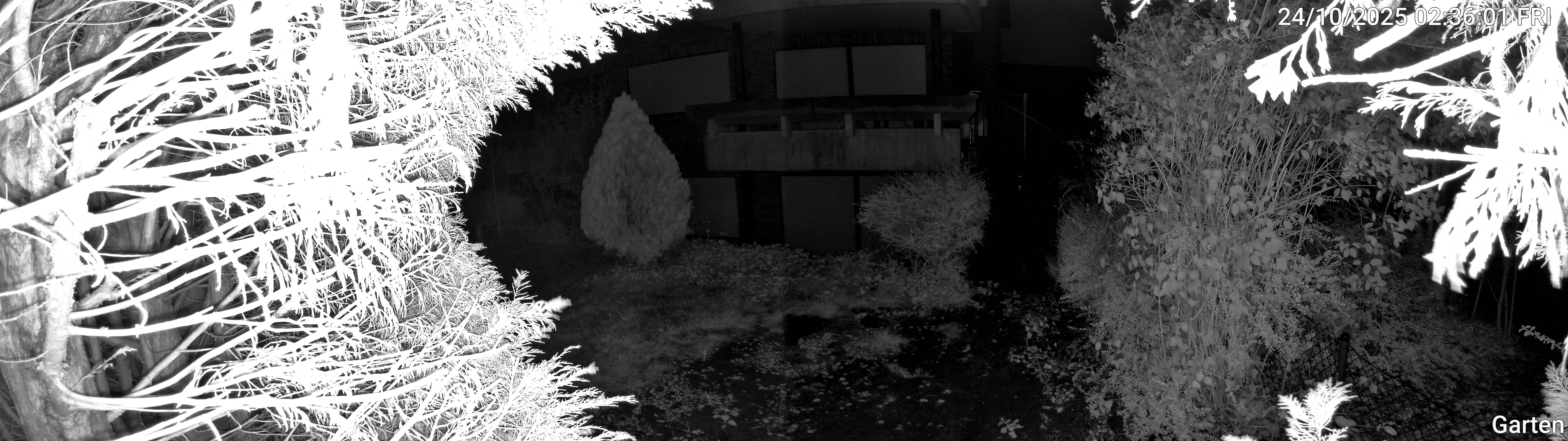 Garten_00_20251024023601.jpg