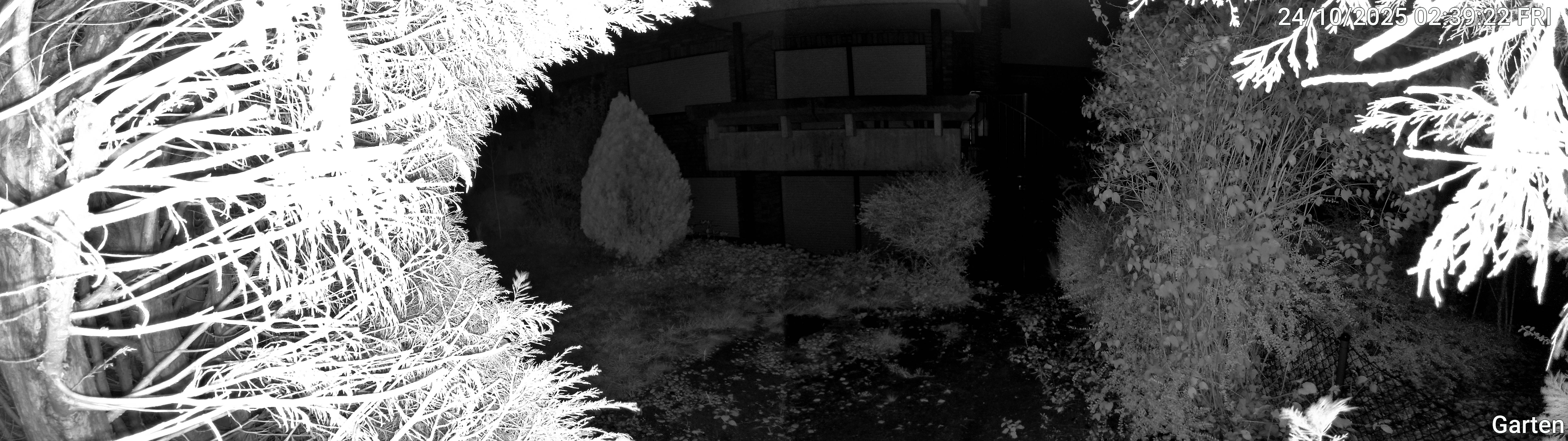Garten_00_20251024023922.jpg