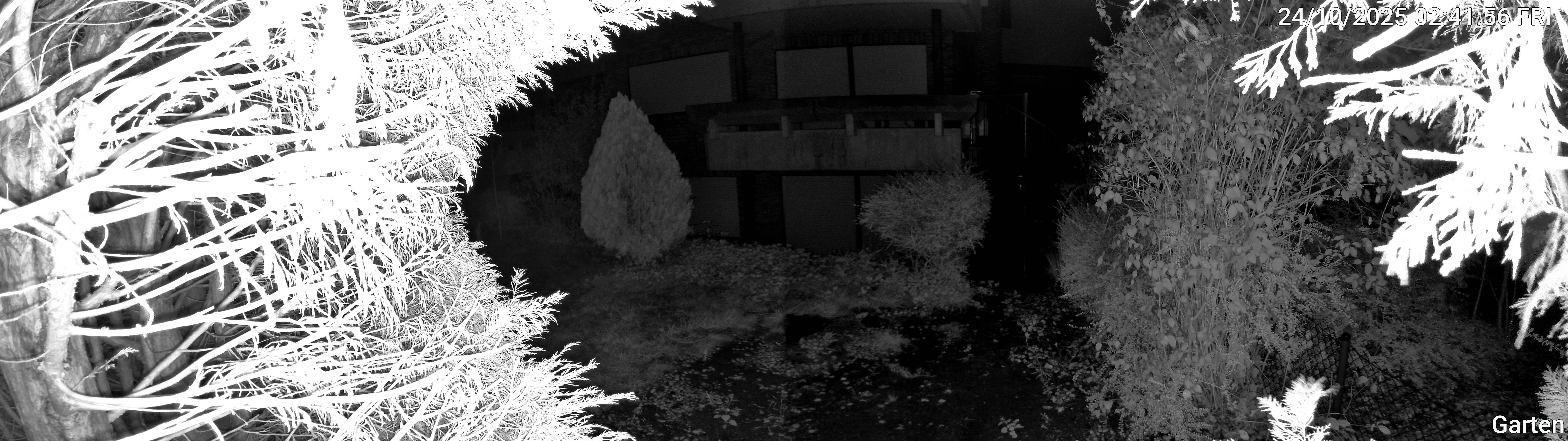 Garten_00_20251024024156.jpg