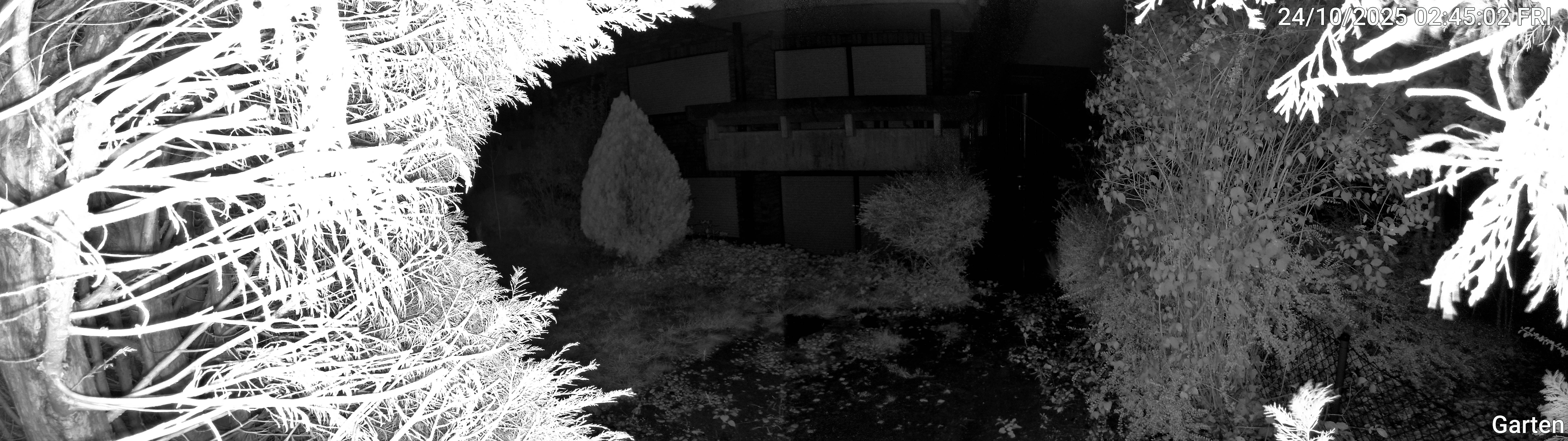 Garten_00_20251024024502.jpg