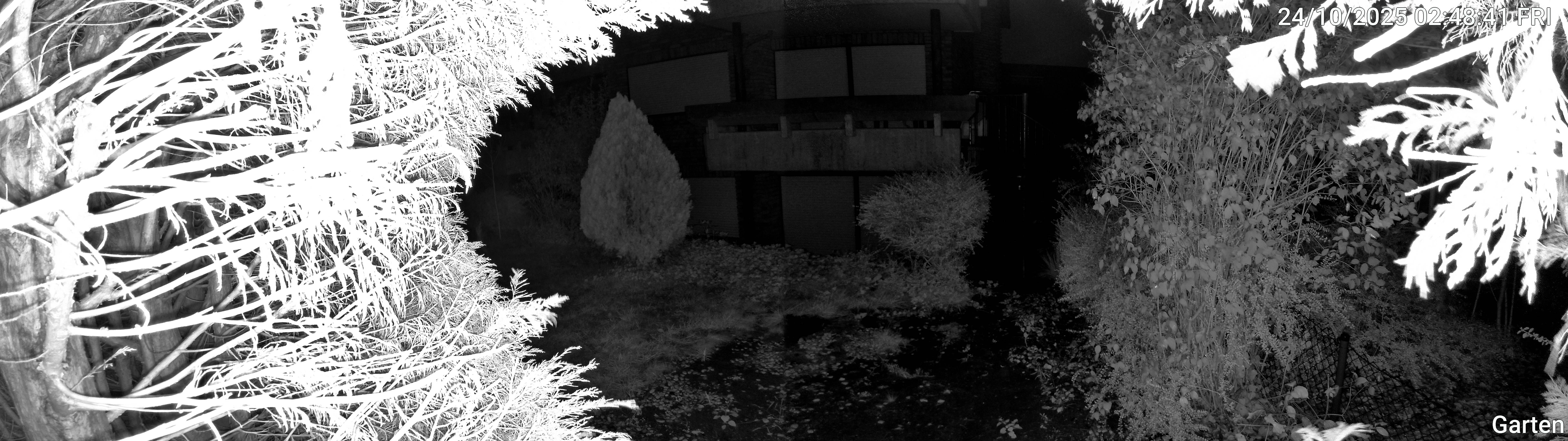 Garten_00_20251024024841.jpg