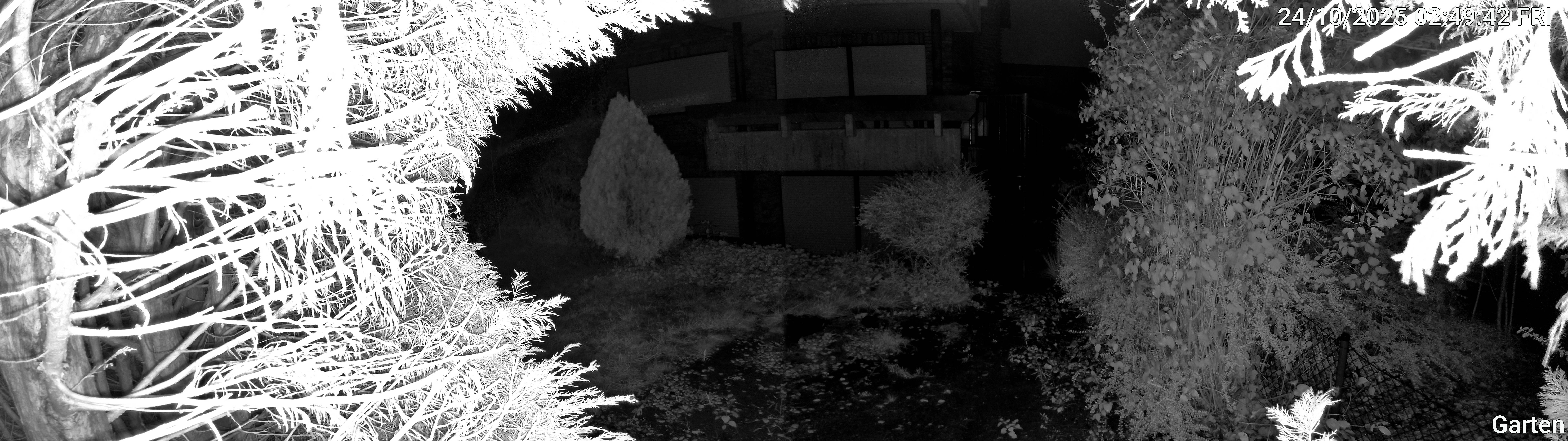 Garten_00_20251024024942.jpg