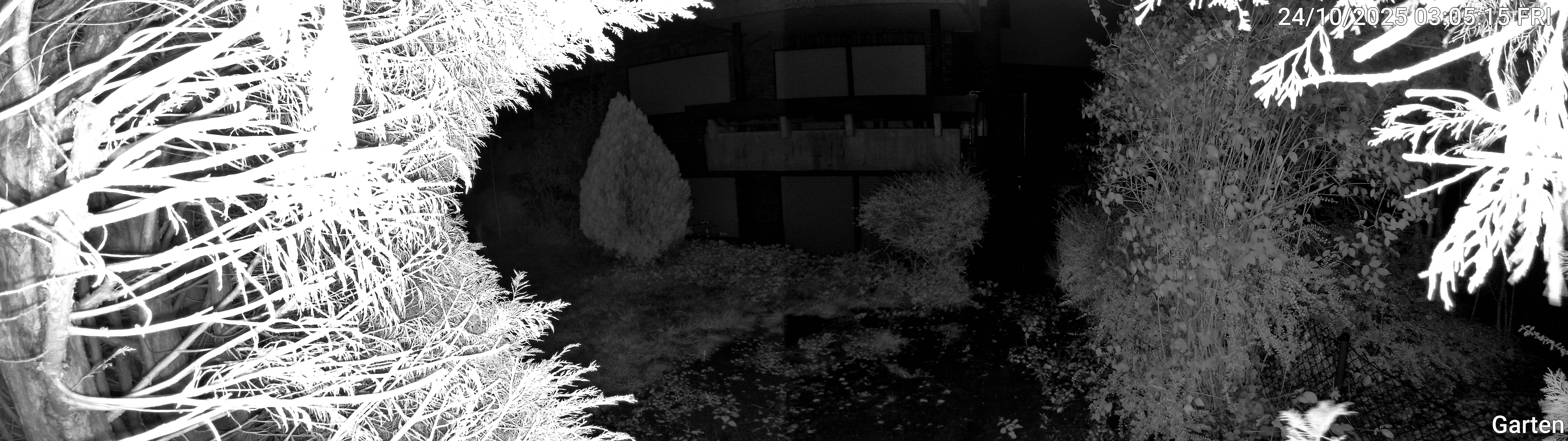Garten_00_20251024030516.jpg