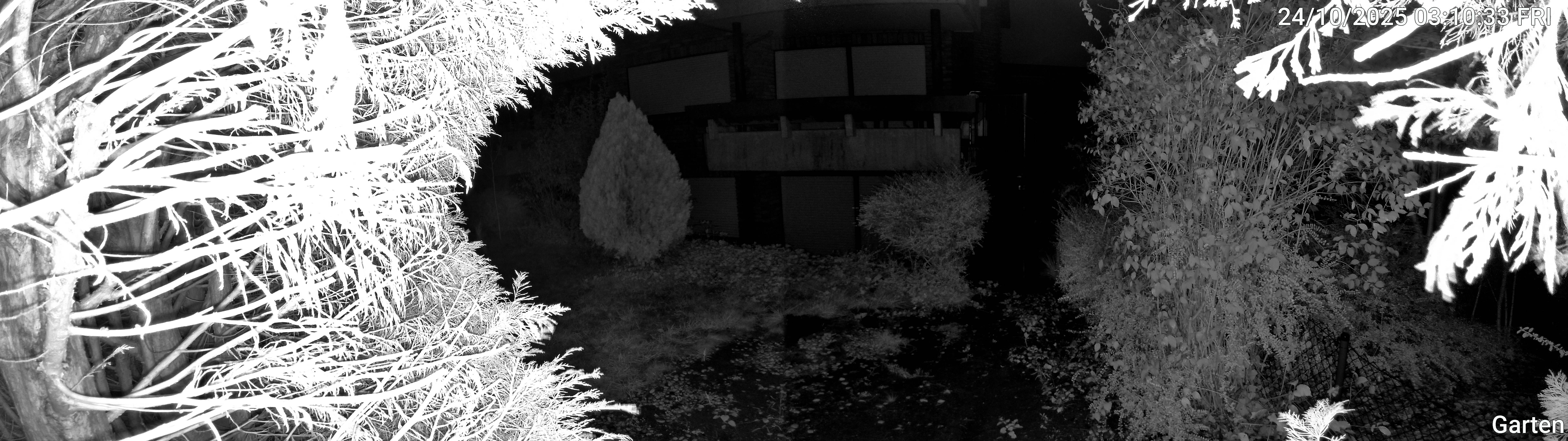 Garten_00_20251024031033.jpg