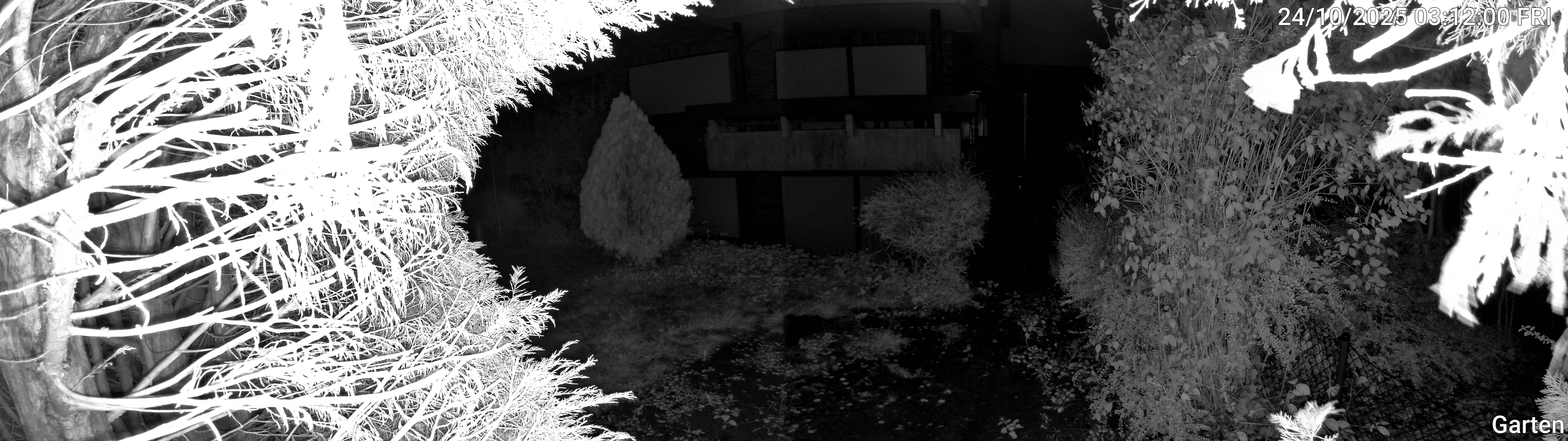 Garten_00_20251024031200.jpg