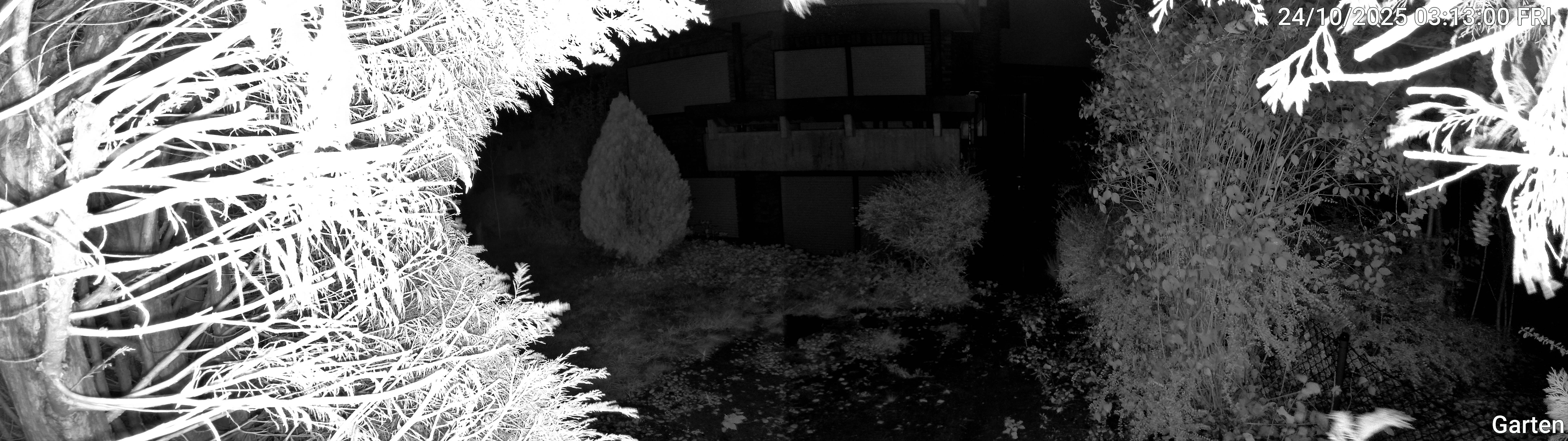 Garten_00_20251024031300.jpg