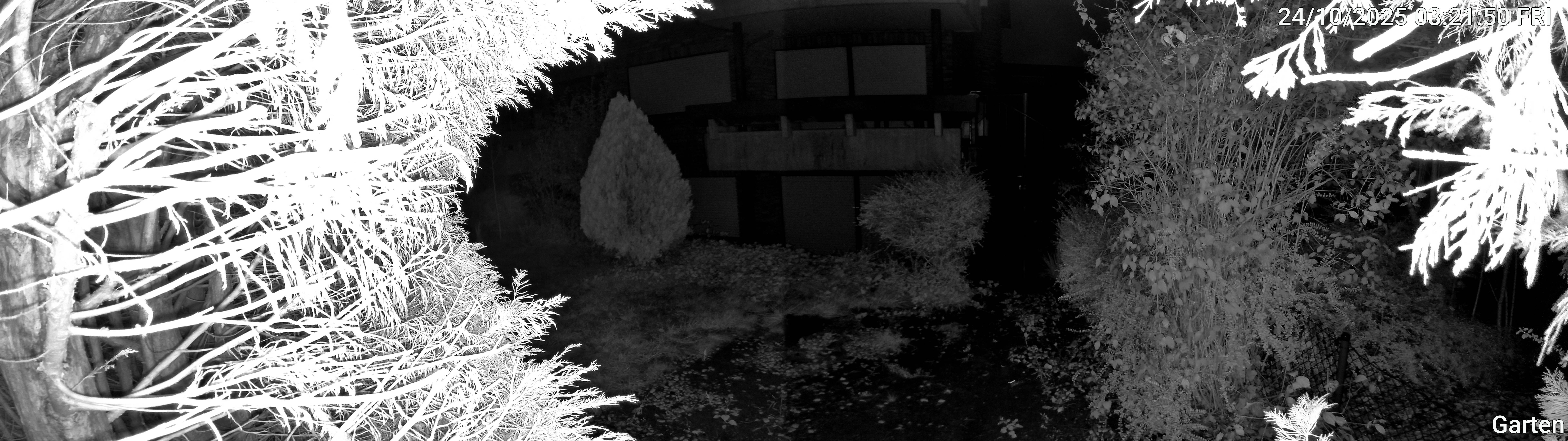 Garten_00_20251024032151.jpg