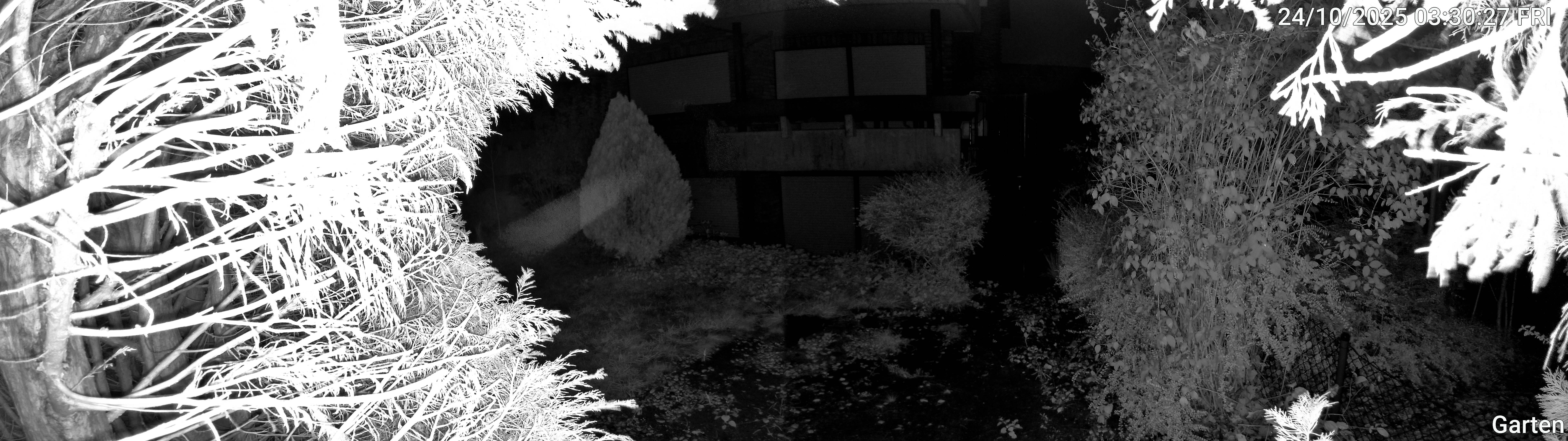Garten_00_20251024033027.jpg
