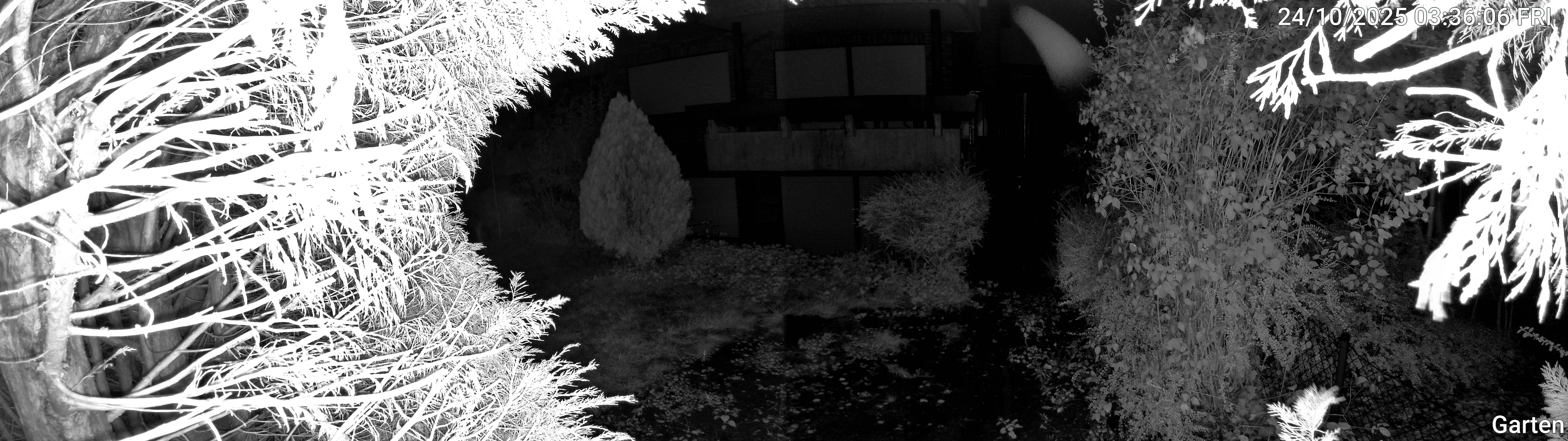 Garten_00_20251024033606.jpg