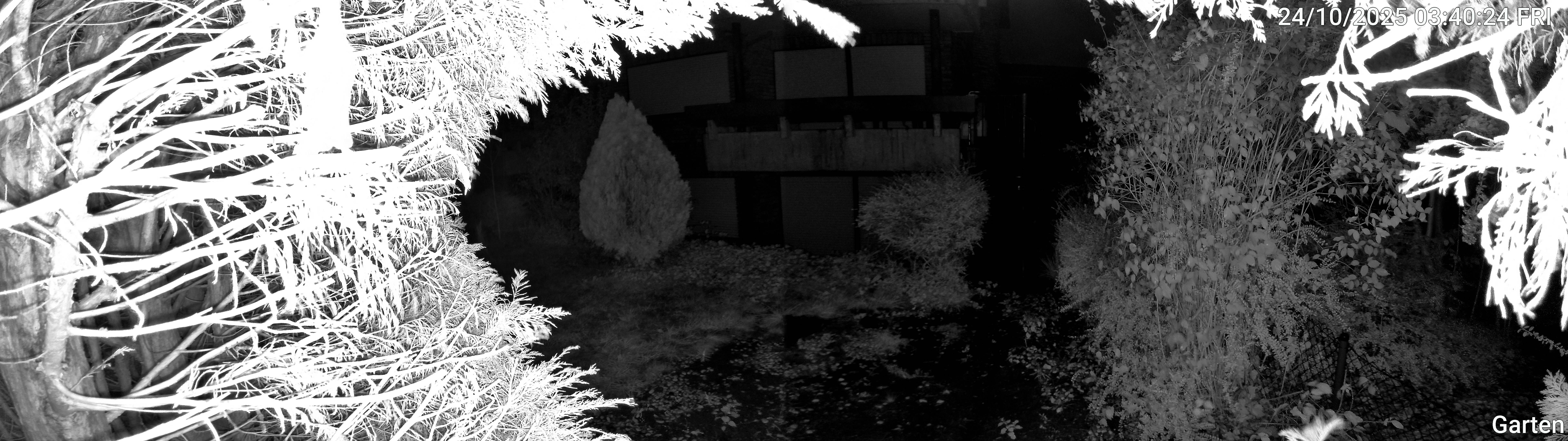 Garten_00_20251024034025.jpg