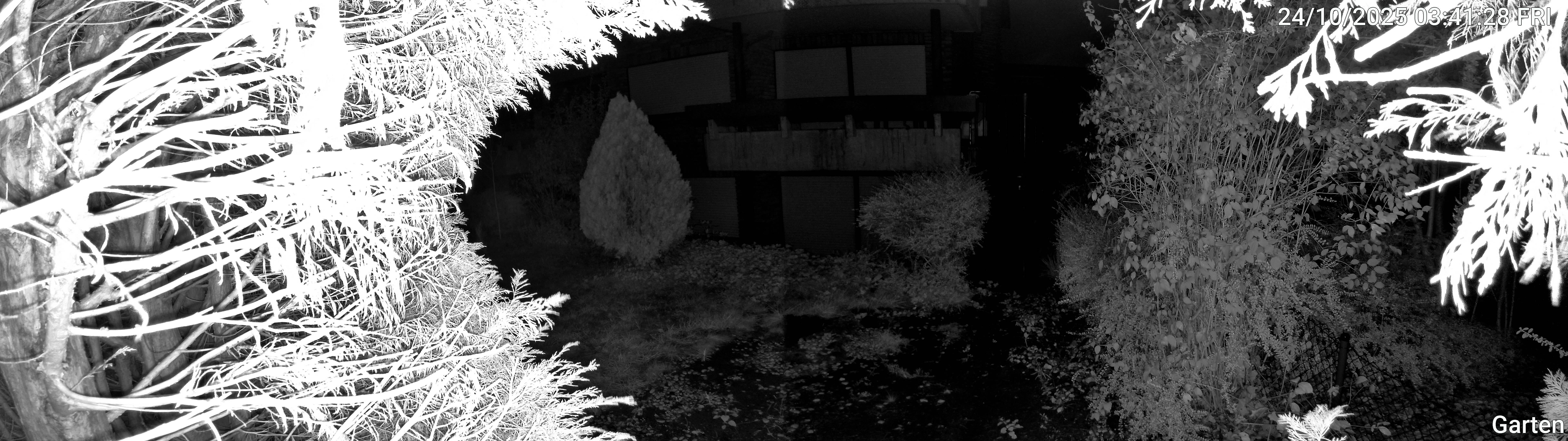 Garten_00_20251024034128.jpg