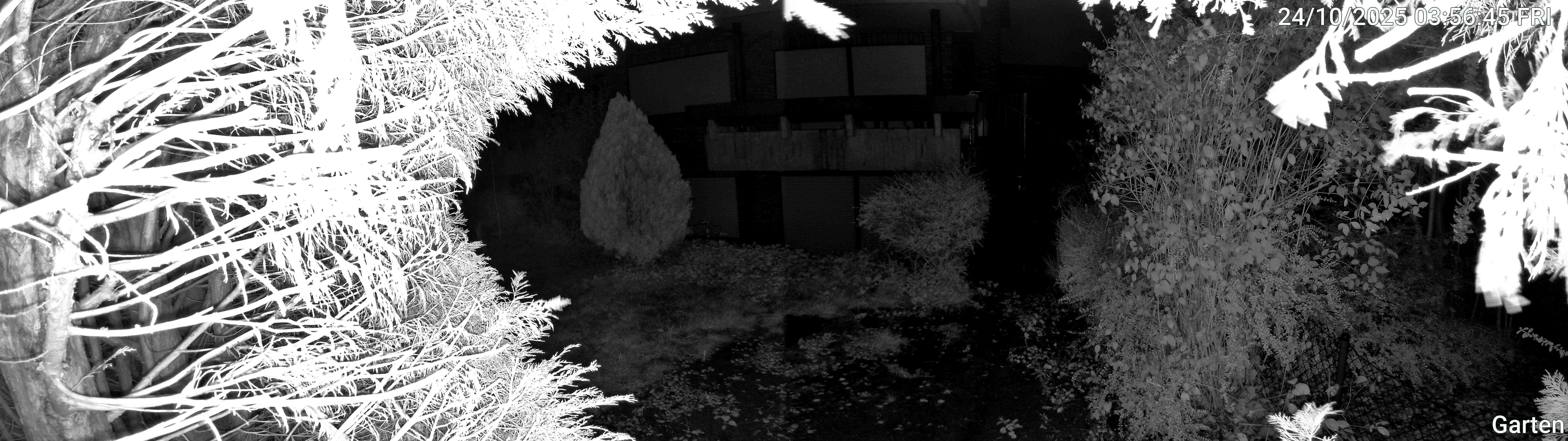 Garten_00_20251024035645.jpg