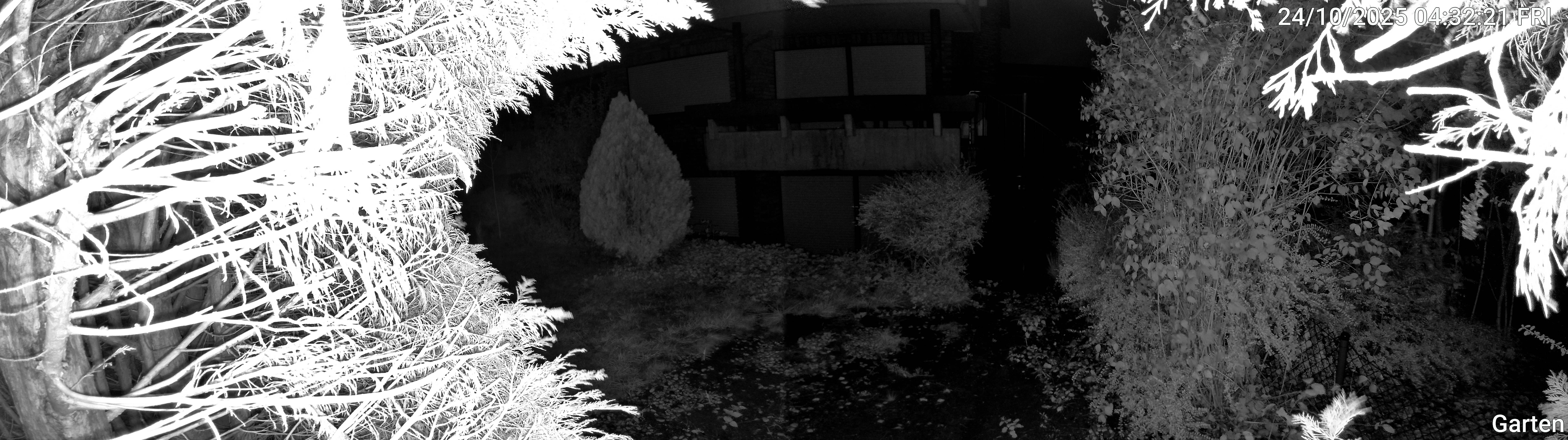 Garten_00_20251024043221.jpg