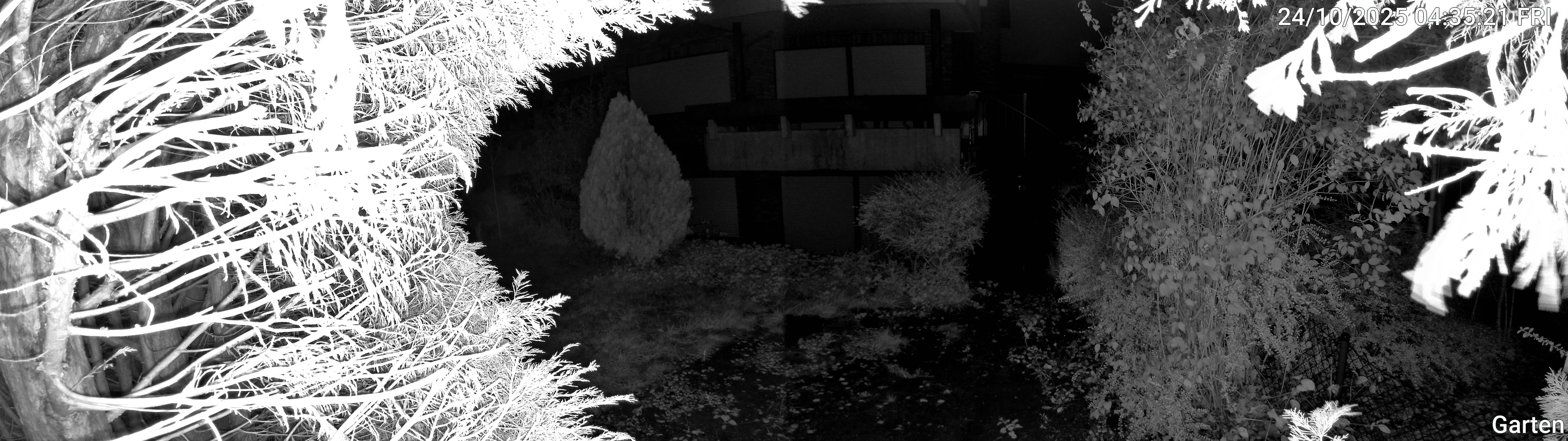 Garten_00_20251024043522.jpg