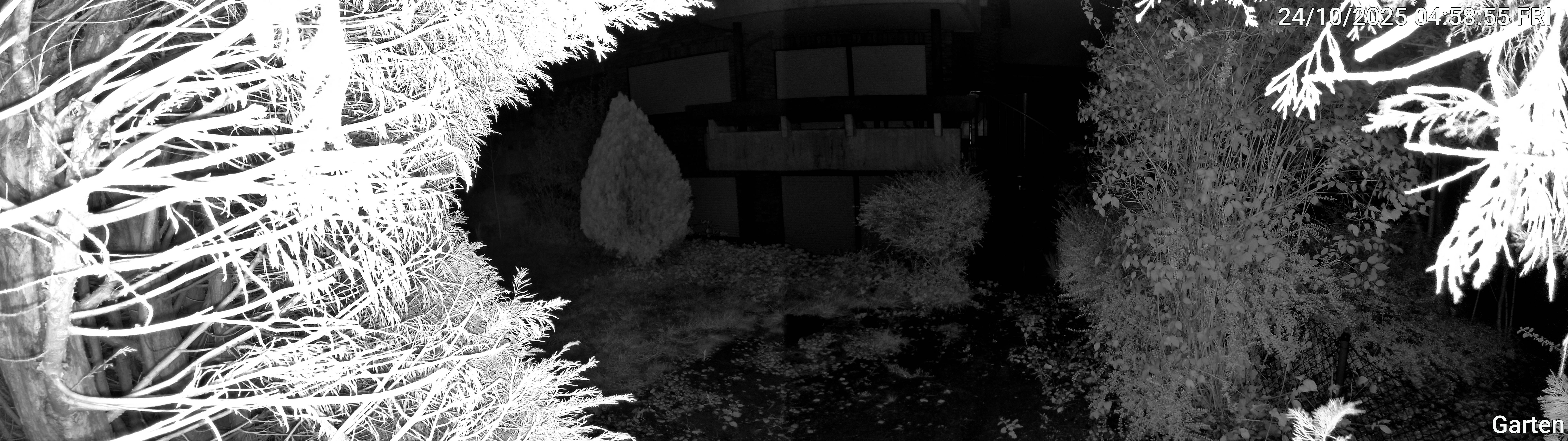 Garten_00_20251024045855.jpg
