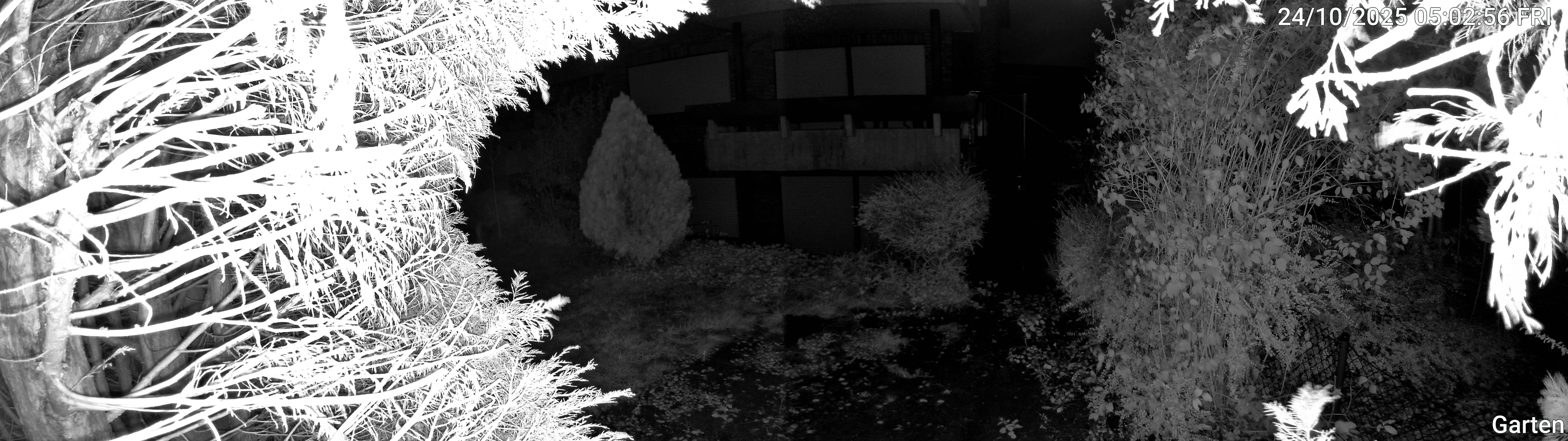 Garten_00_20251024050256.jpg