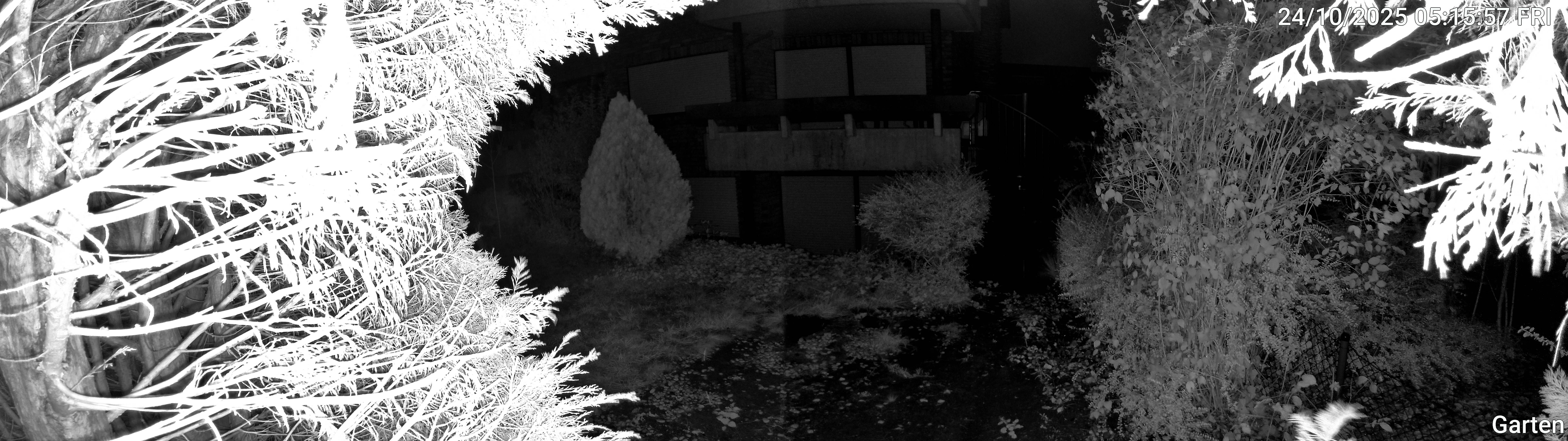 Garten_00_20251024051557.jpg