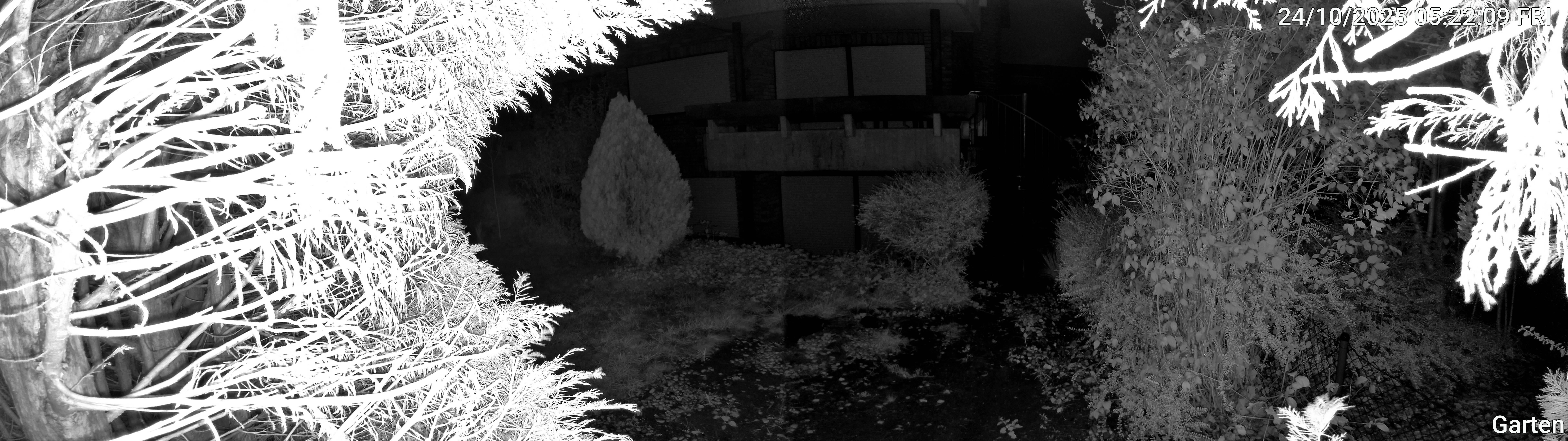 Garten_00_20251024052209.jpg