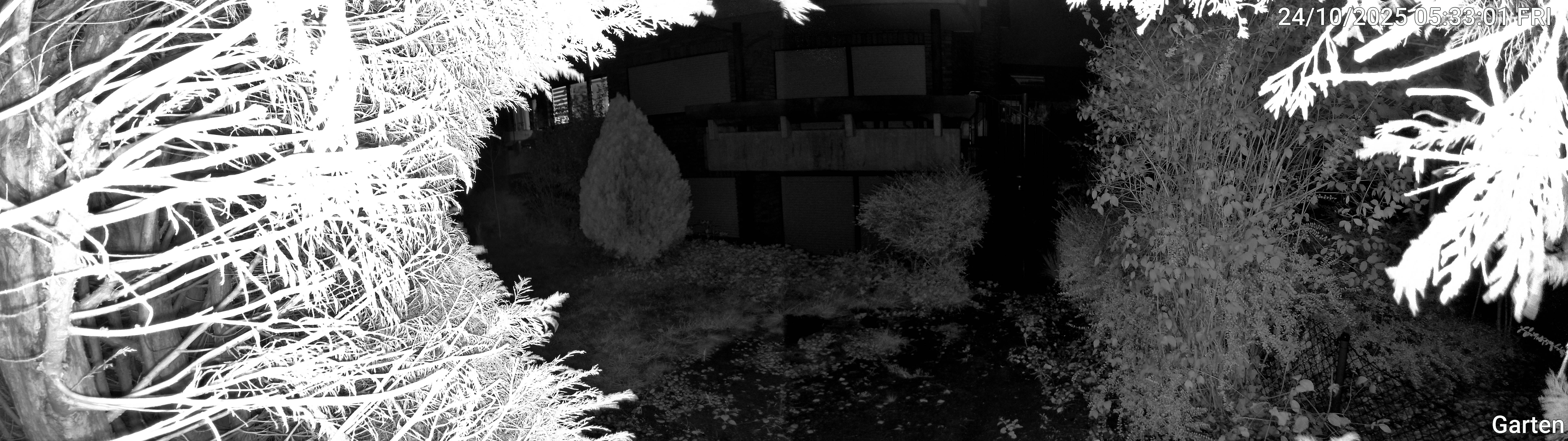 Garten_00_20251024053301.jpg
