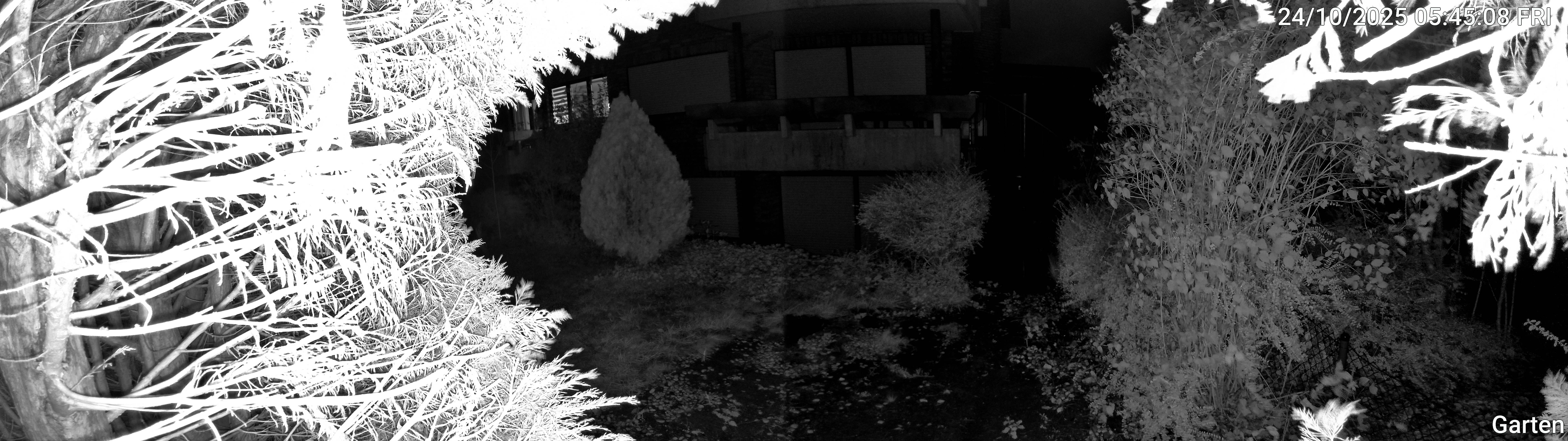 Garten_00_20251024054509.jpg