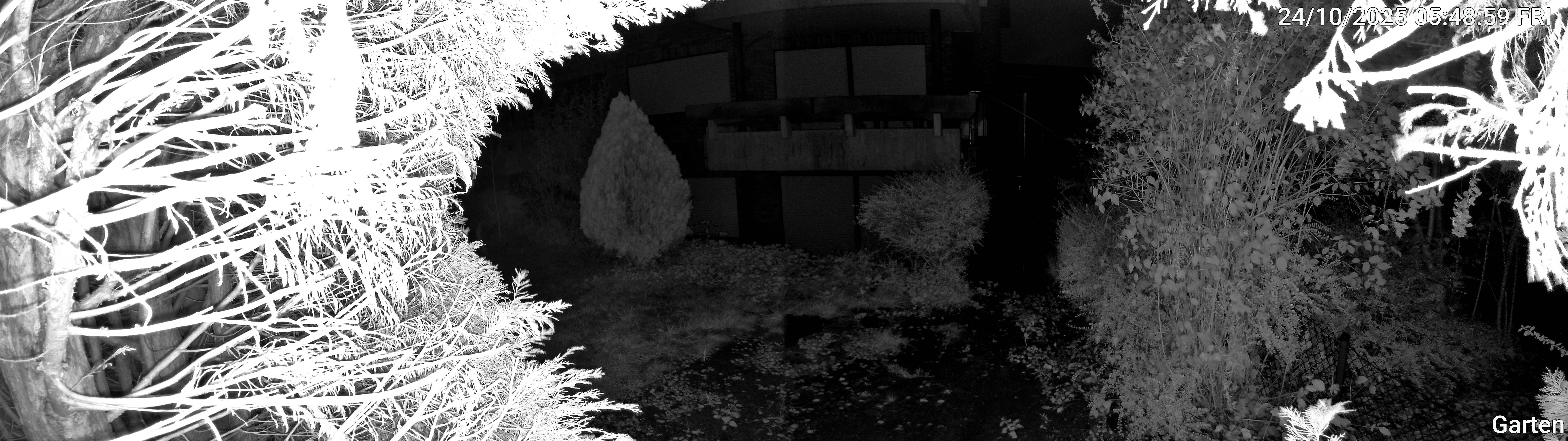 Garten_00_20251024054859.jpg