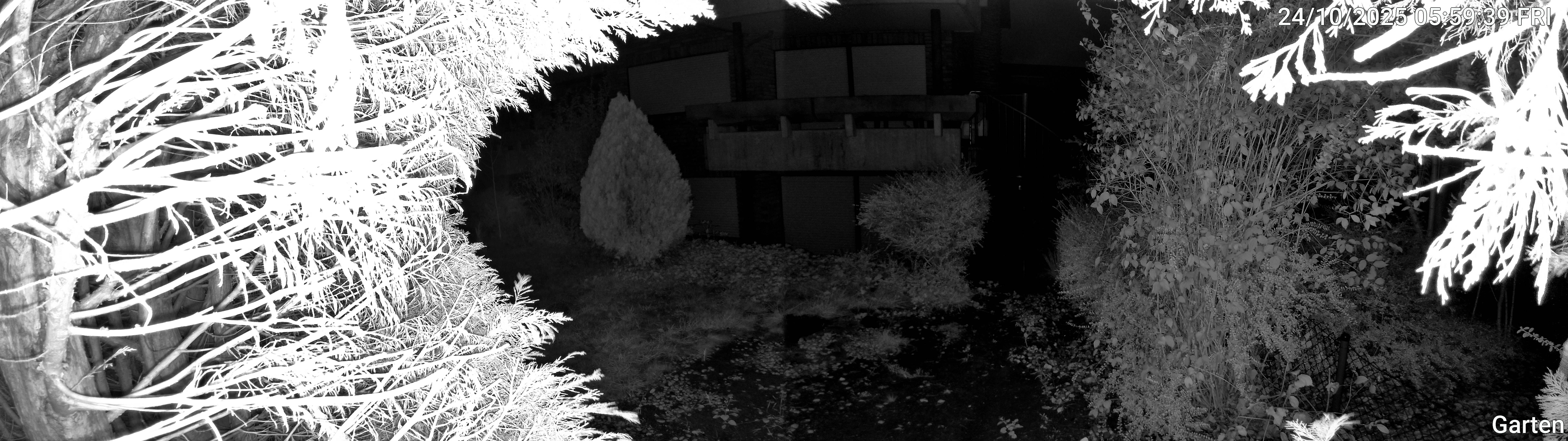Garten_00_20251024055939.jpg