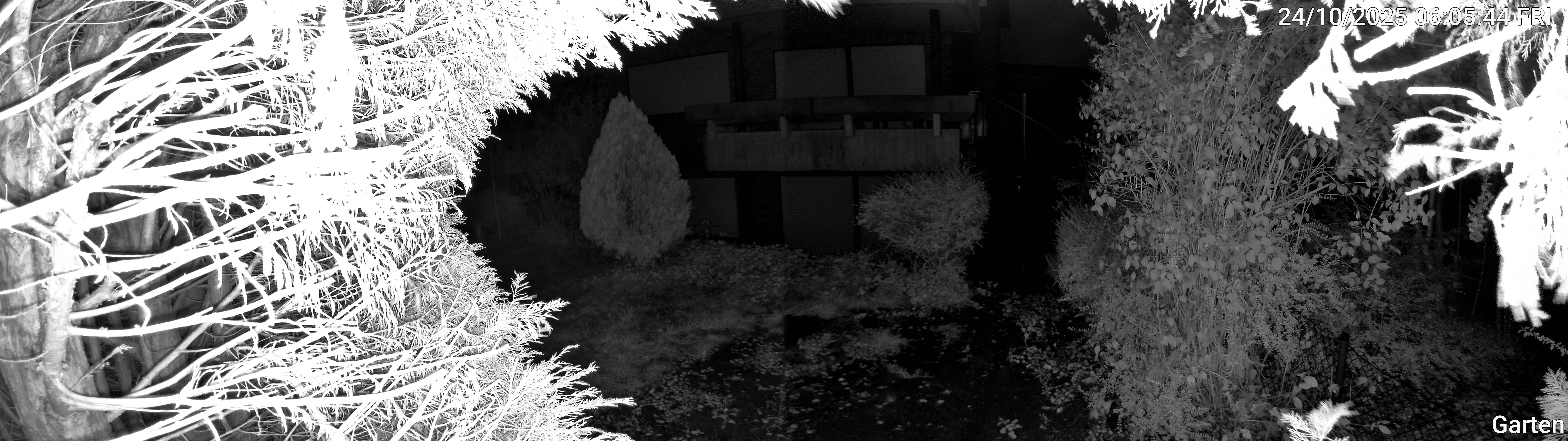 Garten_00_20251024060544.jpg