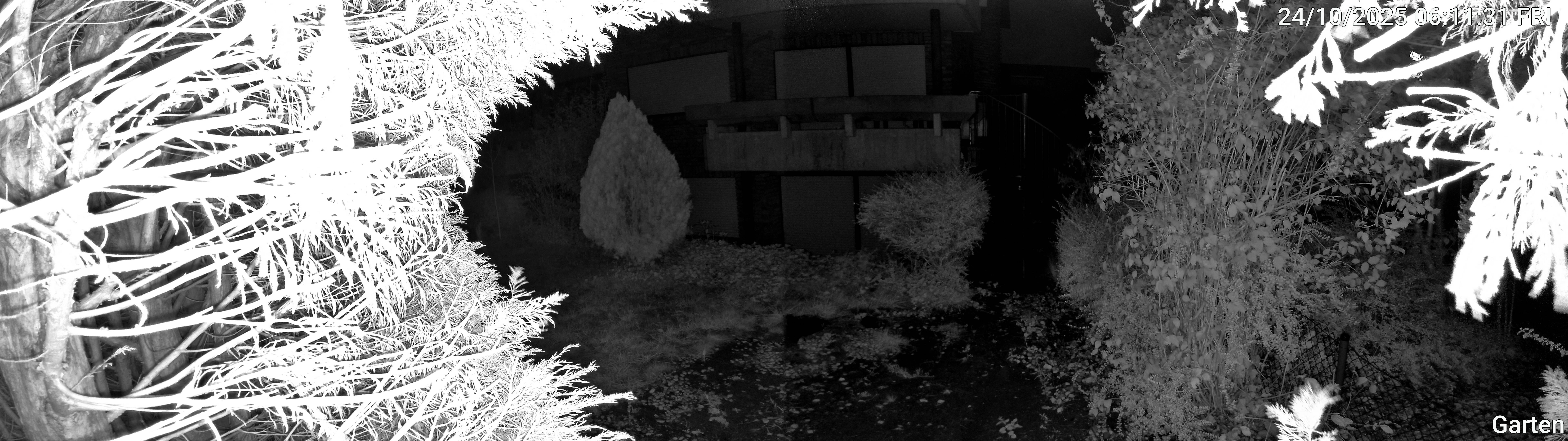Garten_00_20251024061131.jpg