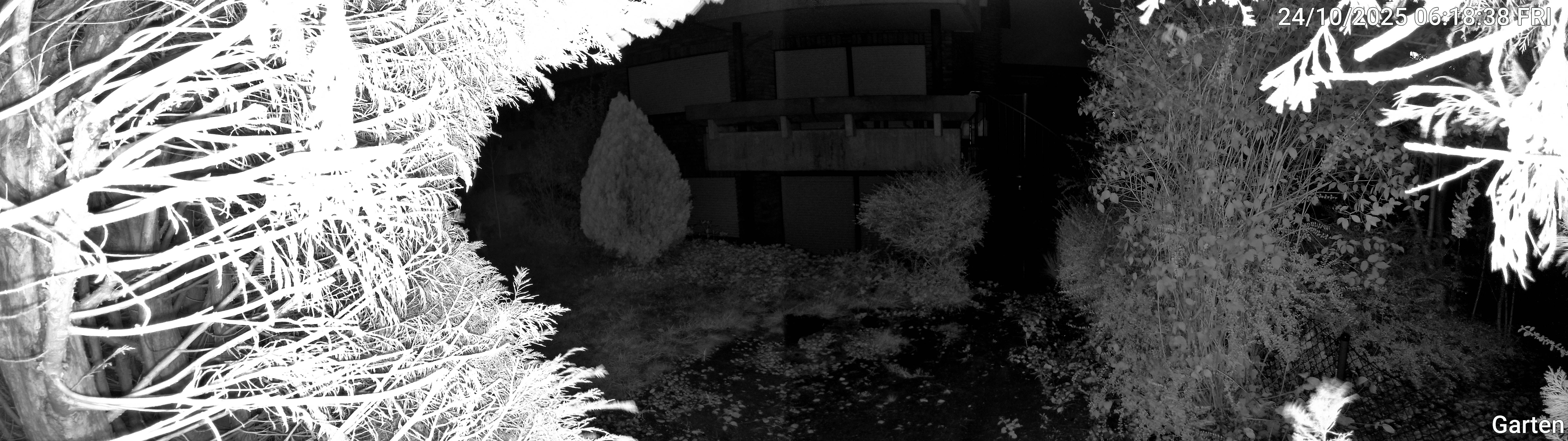 Garten_00_20251024061838.jpg