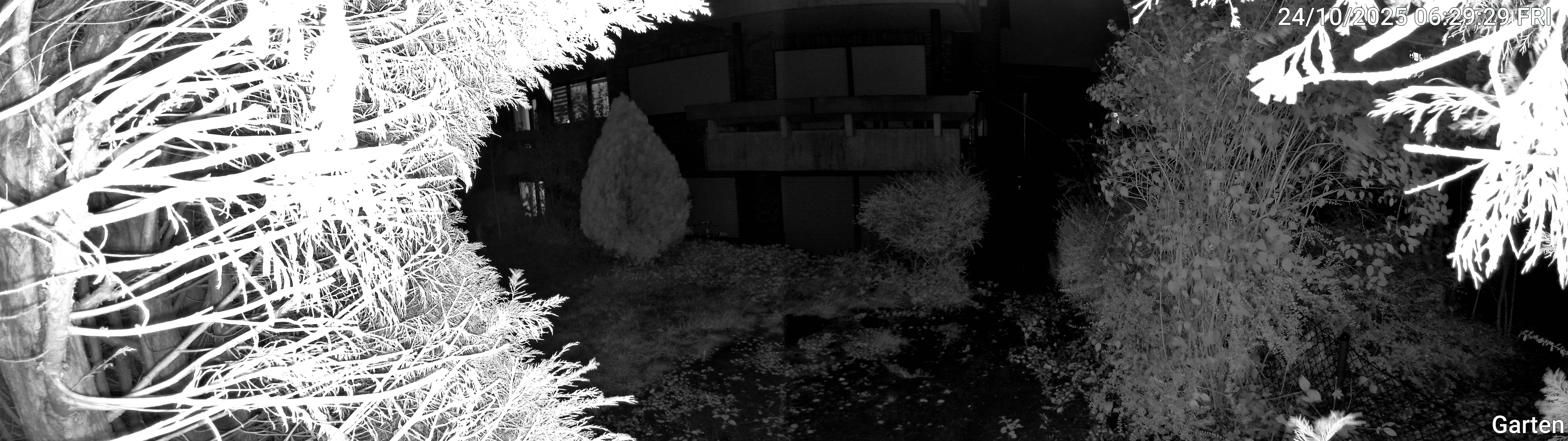 Garten_00_20251024062929.jpg