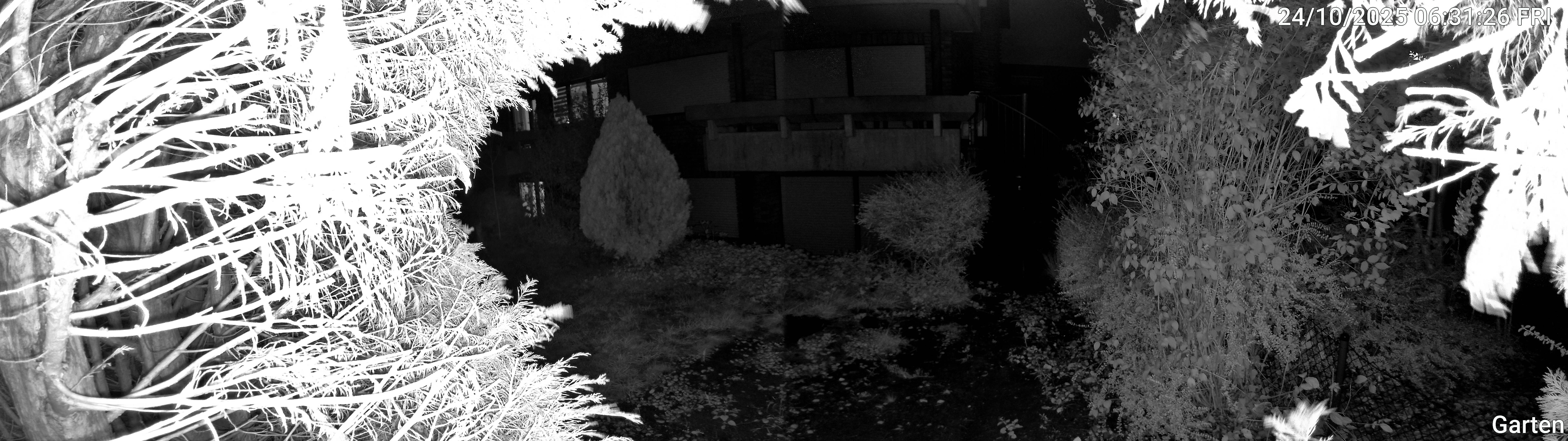 Garten_00_20251024063127.jpg