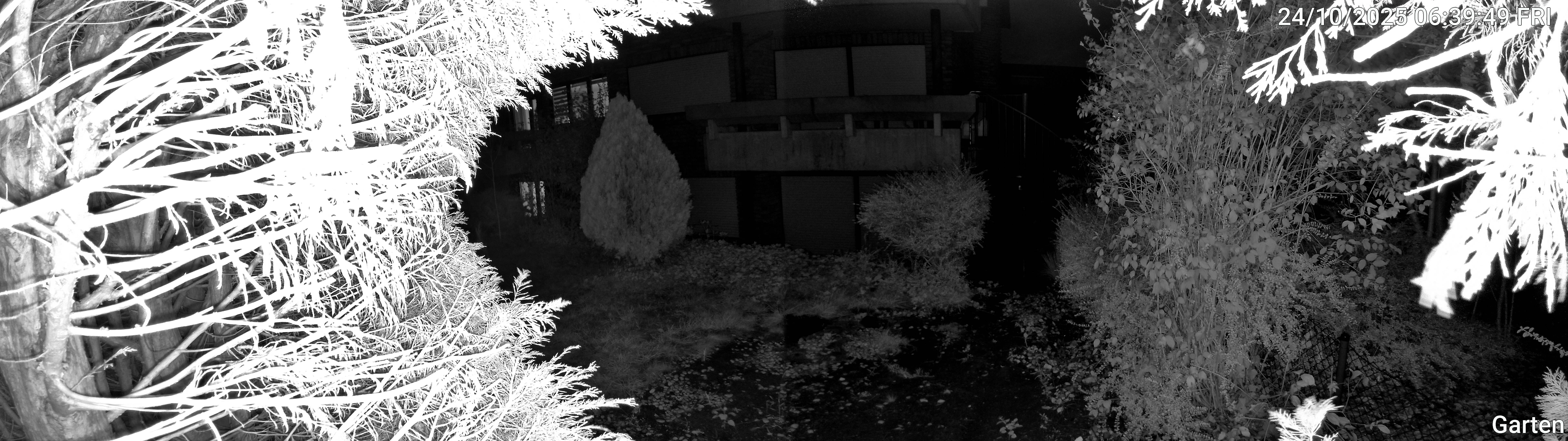 Garten_00_20251024063949.jpg