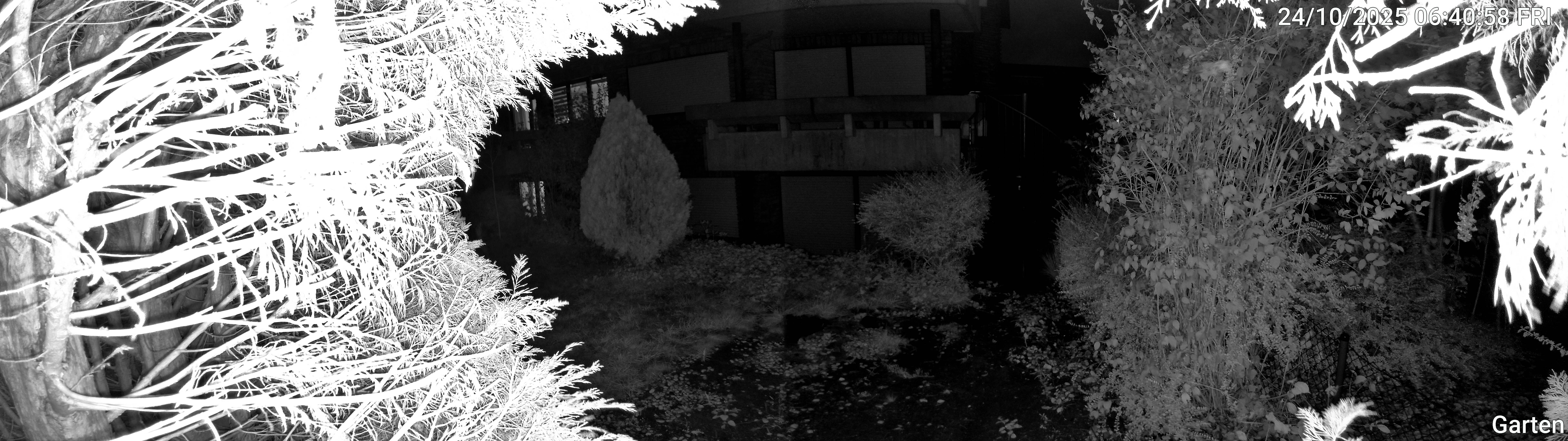 Garten_00_20251024064058.jpg