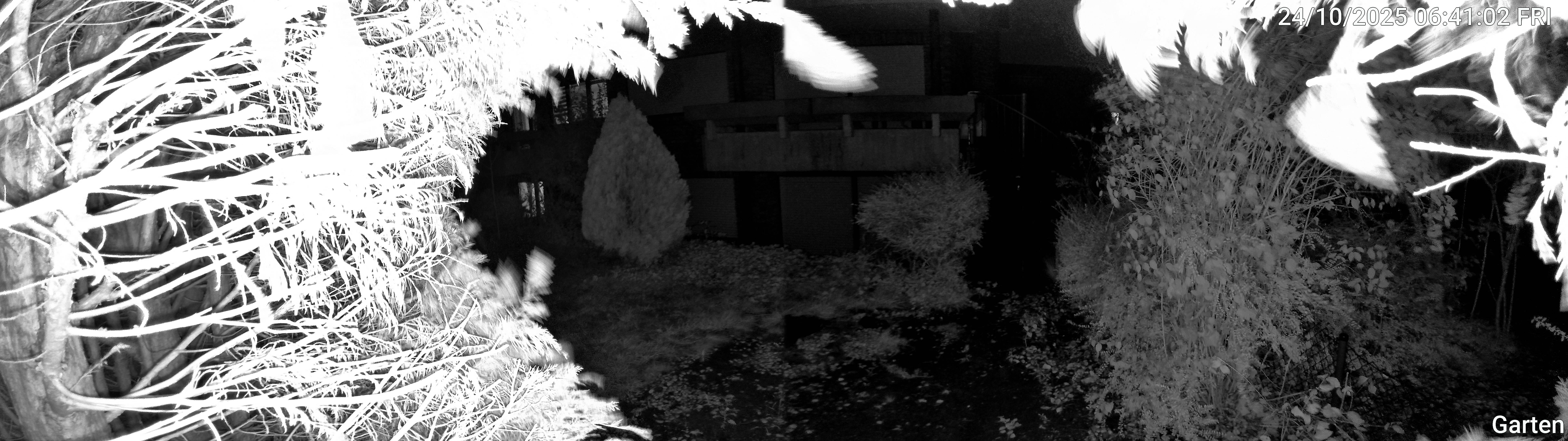 Garten_00_20251024064103.jpg