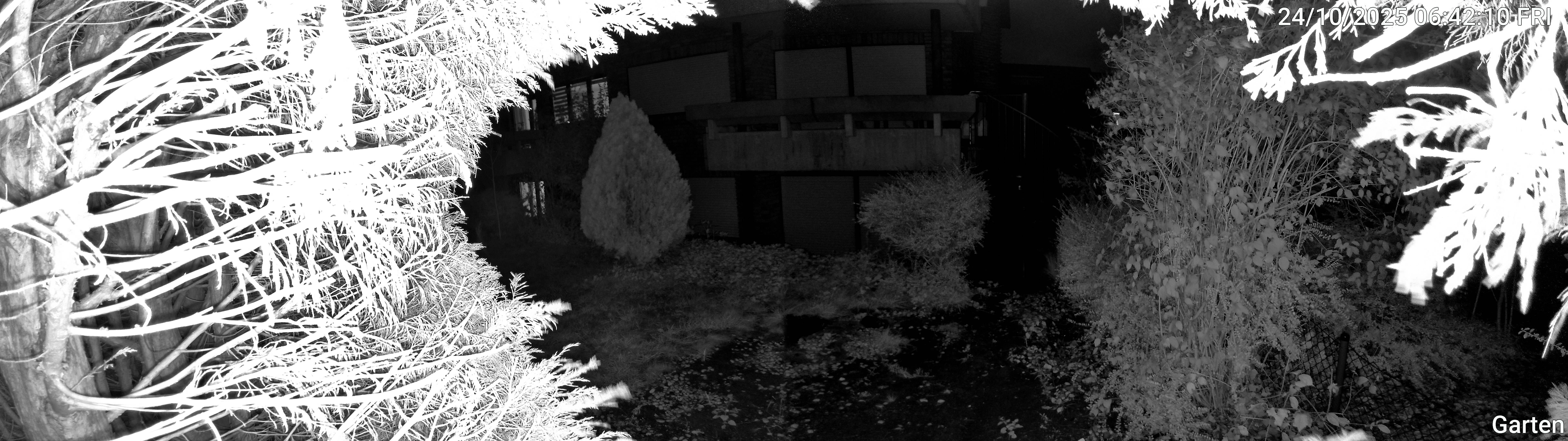 Garten_00_20251024064210.jpg