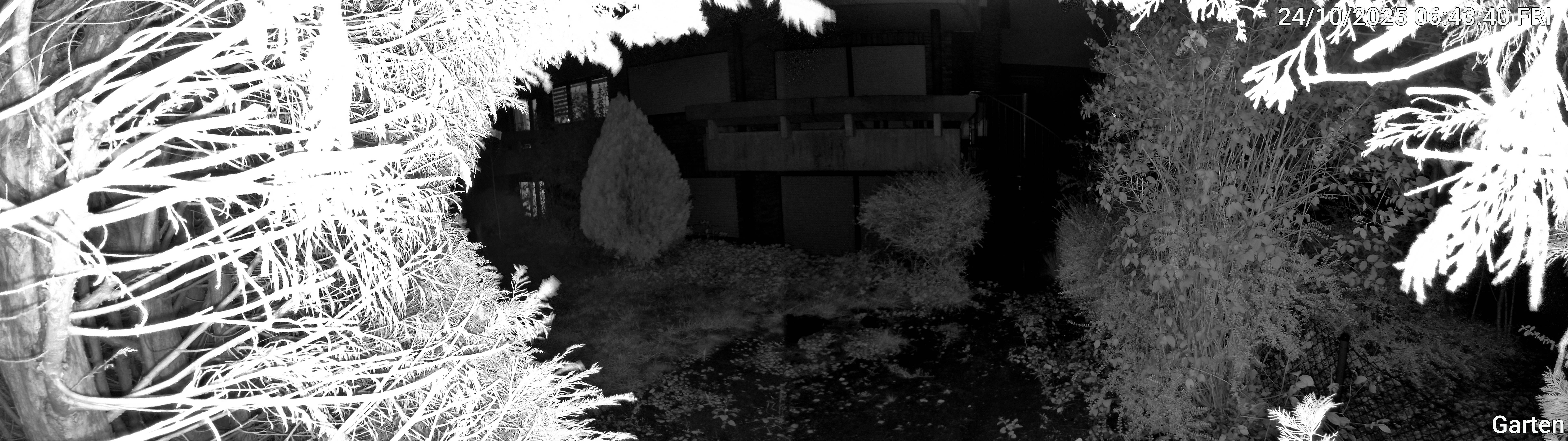 Garten_00_20251024064340.jpg
