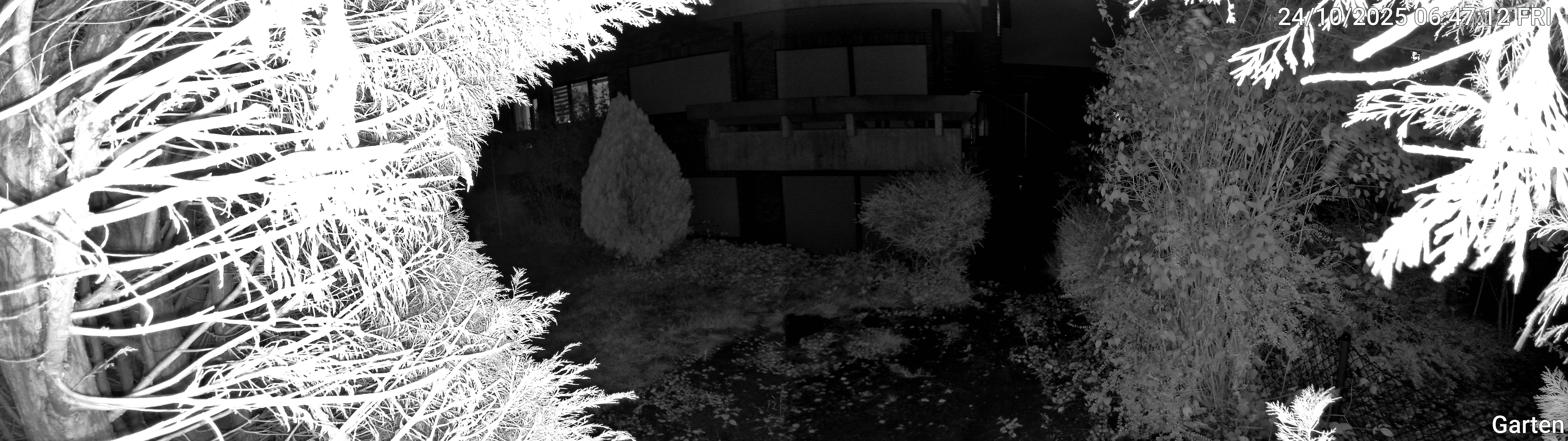 Garten_00_20251024064712.jpg