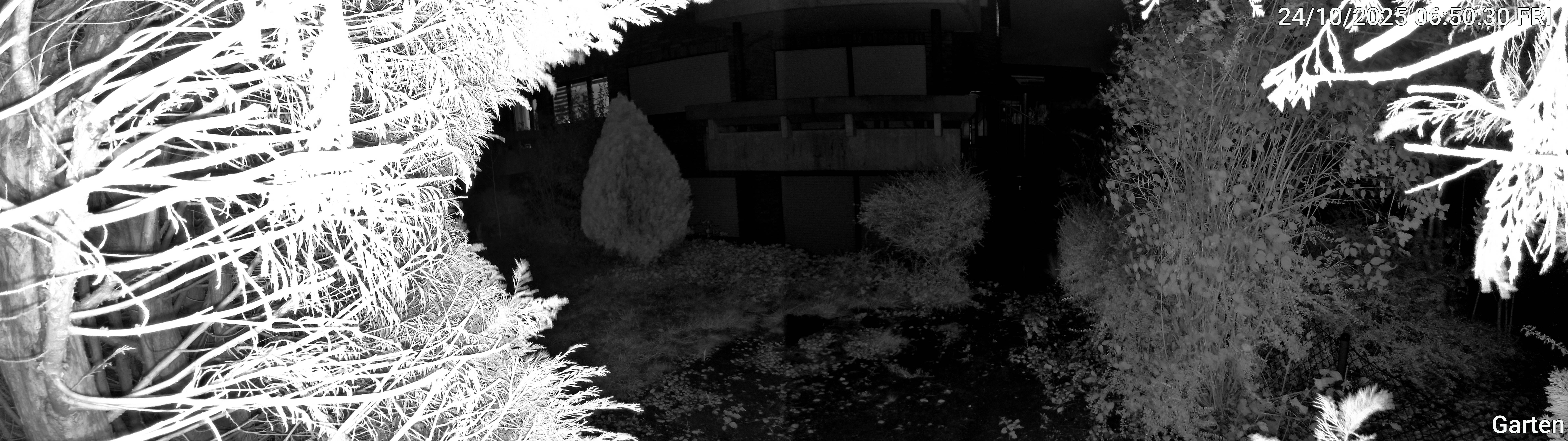 Garten_00_20251024065030.jpg