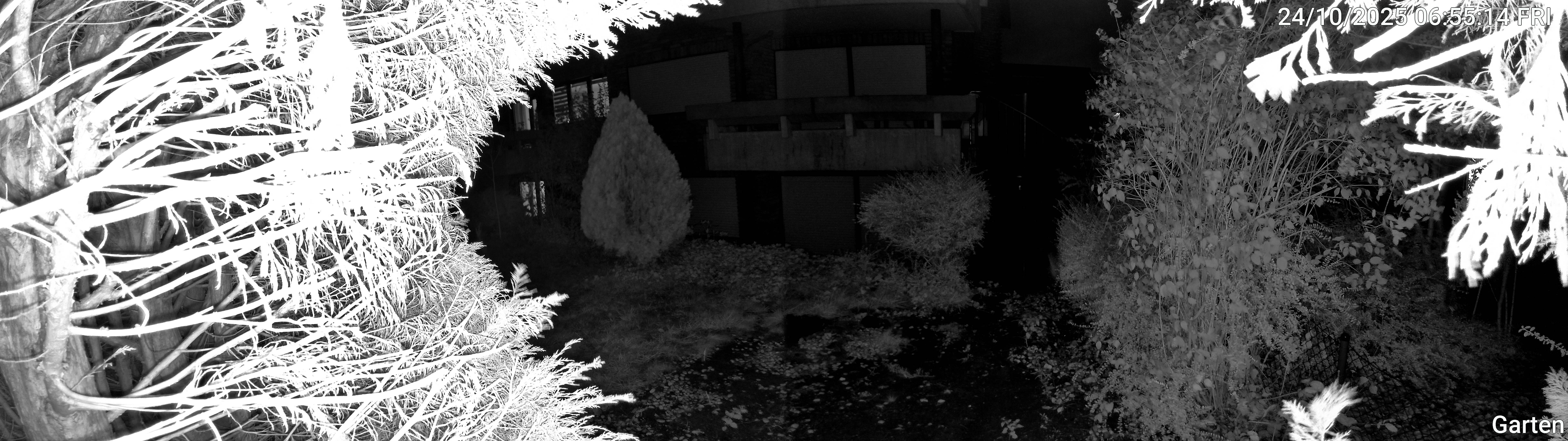 Garten_00_20251024065514.jpg